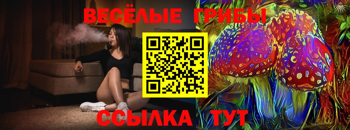 Галлюциногенные грибы мицелий  Вход с VPN  Элиста  Псилоцибиновые грибы GOLDEN TEACHER 