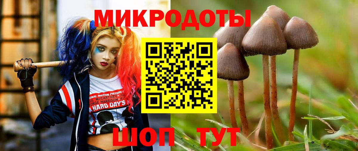 Псилоцибиновые грибы мицелий Элиста